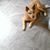 Judy Stroud Tryon's profile image