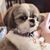 James Bjorkman's profile image