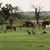 Jana Rodes's profile image