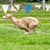 Yvonne Brown McKim's profile image