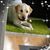 Katie Mostek's profile image