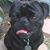 Nell Carmona's profile image