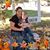 Courtney Lynn Somers's profile image