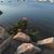 Judy Hamilton Negrini's profile image