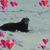 John Westcott's profile image