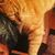 Uttara Natarajan's profile image