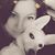 Mersh Mershy's profile image