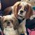 Deb Naber-Beckrich's profile image