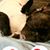 Donna Williams Black's profile image