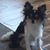 Sheila Martin's profile image