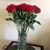 Ann Dobon's profile image