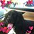 Eileen Miller's profile image