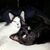 Antje Loske's profile image