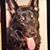 Betty Crable's profile image