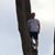McKade Hatfield's profile image