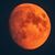 Steve Tift's profile image