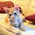 Kea Theroux's profile image