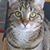 Darla Boyd's profile image