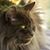 Nadine Bozzi's profile image