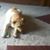 B.j. Heth's profile image
