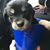 Joey Guzman's profile image