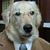 Perry Hyde's profile image