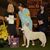 Kelley Green Davis's profile image