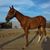 DavidandKatie Saiz's profile image