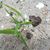 Robin Wyvill's profile image