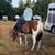 Sarah Rockwood's profile image