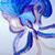 Jezia Valchez's profile image