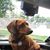 Ann Taylor's profile image