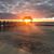 Julie Brandemuehl-Lipke's profile image