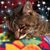 Mary Gerold Randklev's profile image