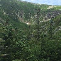 Rick Tedoldi's profile image