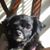 Sherry Hill's profile image