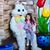 Michelle Taylor Blair's profile image