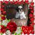 Dottie Taylor's profile image
