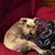Geri Chaney's profile image