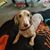 Harvey Duve's profile image