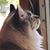 Julia A Fackrell's profile image