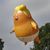 Charles Stanwick Whitebread III's profile image