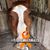 Traci Travella Bitler's profile image