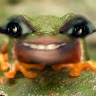 Tremarwin M.'s profile image
