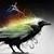 Crystal Dailey's profile image