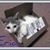 Missy Brune's profile image