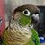 Brenda Delaney-Bogatay's profile image