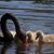 Marsha Kerchner's profile image