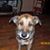 Debi Gotte Demko's profile image