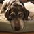 Diane Wuerth's profile image